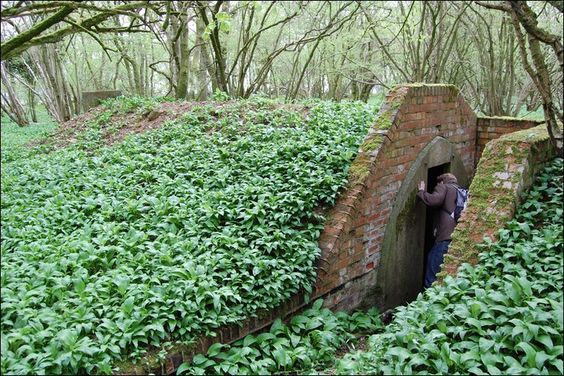 Hidden World War II Air Raid Shelter Flying Without Wings Book By Paula Wynne